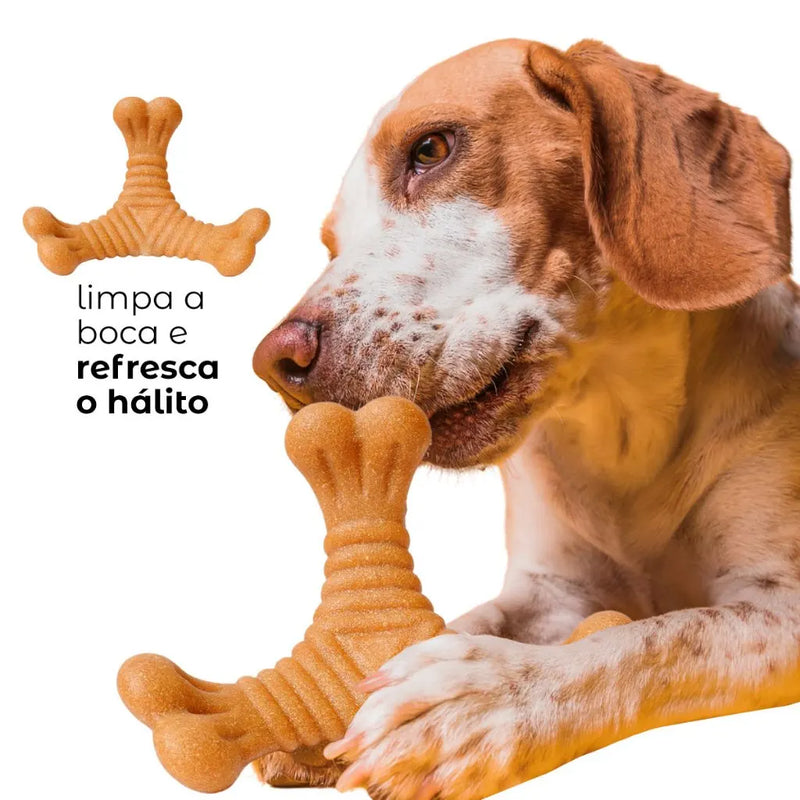 Osso Mordedor Massageador Brinquedo Para Cães Pets Anti-Stress ™