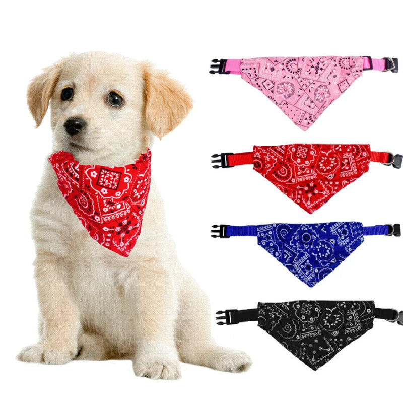 Coleira Com Bandana Poliéster Para Pet ™