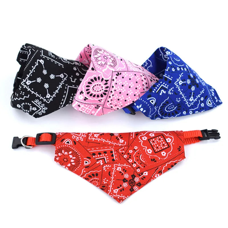 Coleira Com Bandana Poliéster Para Pet ™