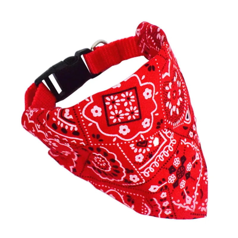 Coleira Com Bandana Poliéster Para Pet ™