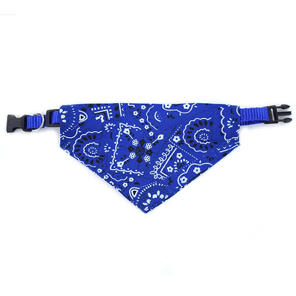 Coleira Com Bandana Poliéster Para Pet ™