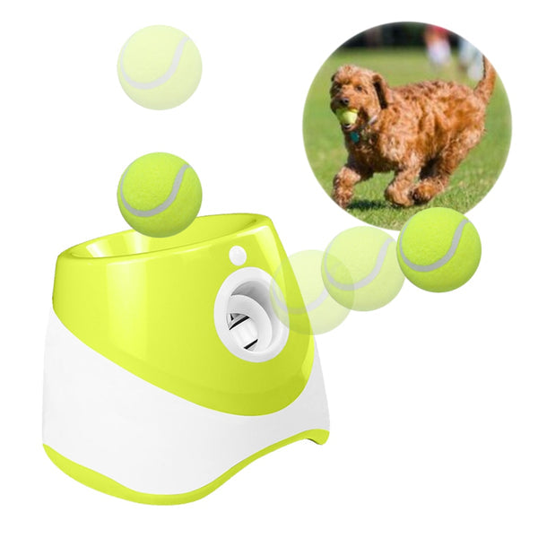 Lançador De Bolinhas Automático Para Cães -  Exercício e Diversão Sem Fim ™